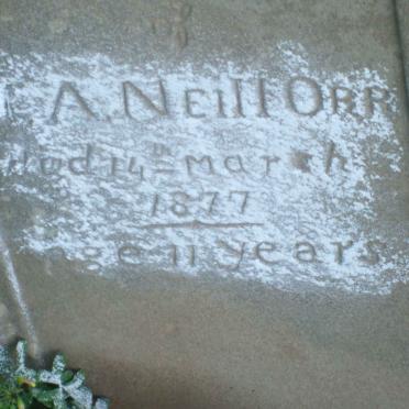 ORR J.A. Neill -1877