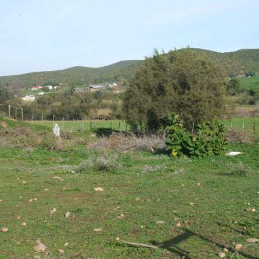 1. Overview