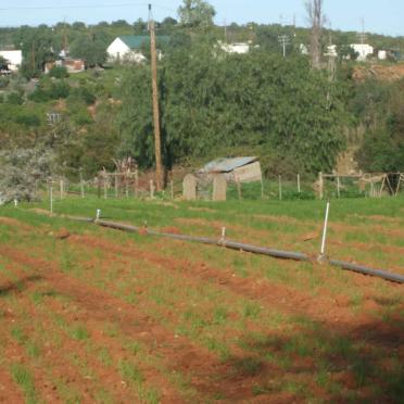 1. Overview