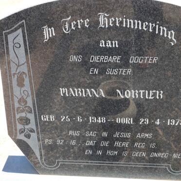 Western Cape, OUDTSHOORN district, Roodeheuvel 141_4, farm cemetery