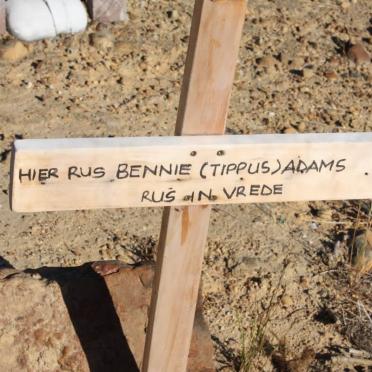 ADAMS Bennie
