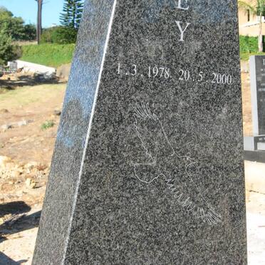 FEBRUARY Bradley 1978-2000