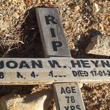 HEYNS Joan W. 1929-2008