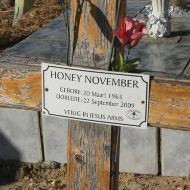 NOVEMBER Honey 1963-2009