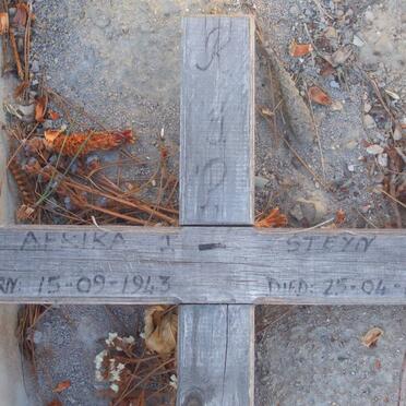 STEYN Afrika J. 1943-1982