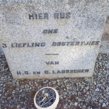LAUBSCHER