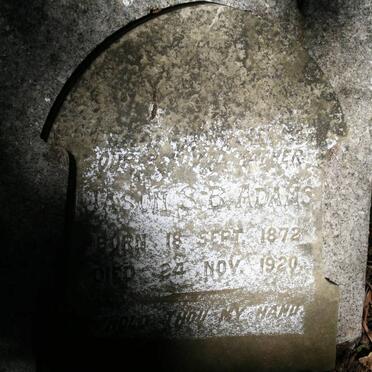 ADAMS Jason S.B. 1872-1920