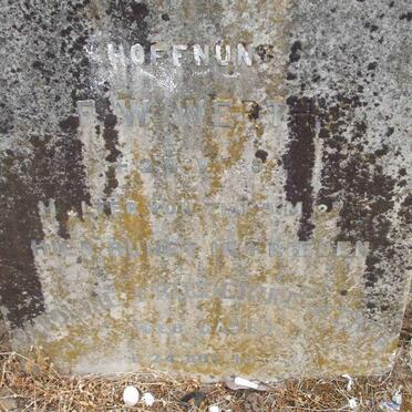 ARNDT :: SEWE :: CAUE