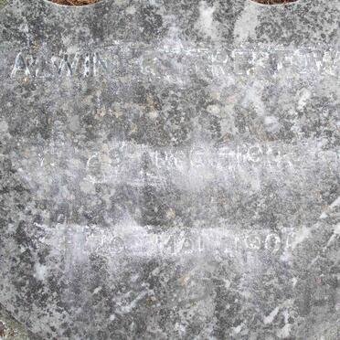 TREPTOW Alwin 1900-1901