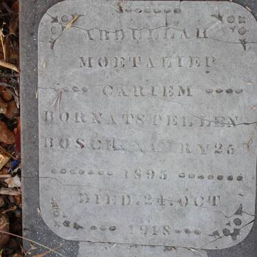 CARLEM Abdulah Moetaliep 1895-1918