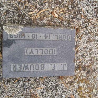 BOUWER J.C. Family grave