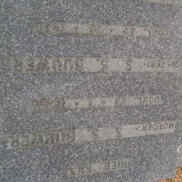 BOUWER S.S. -?? :: BOUWER S.S. -1910