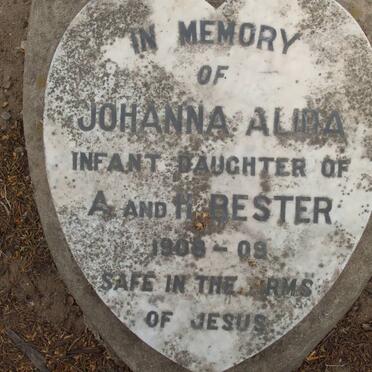 BESTER Johanna Alida  1908-1909