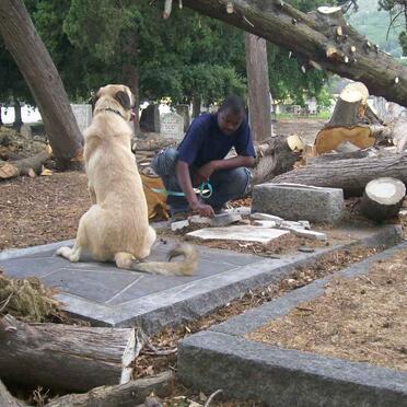3. Overview on cemetery