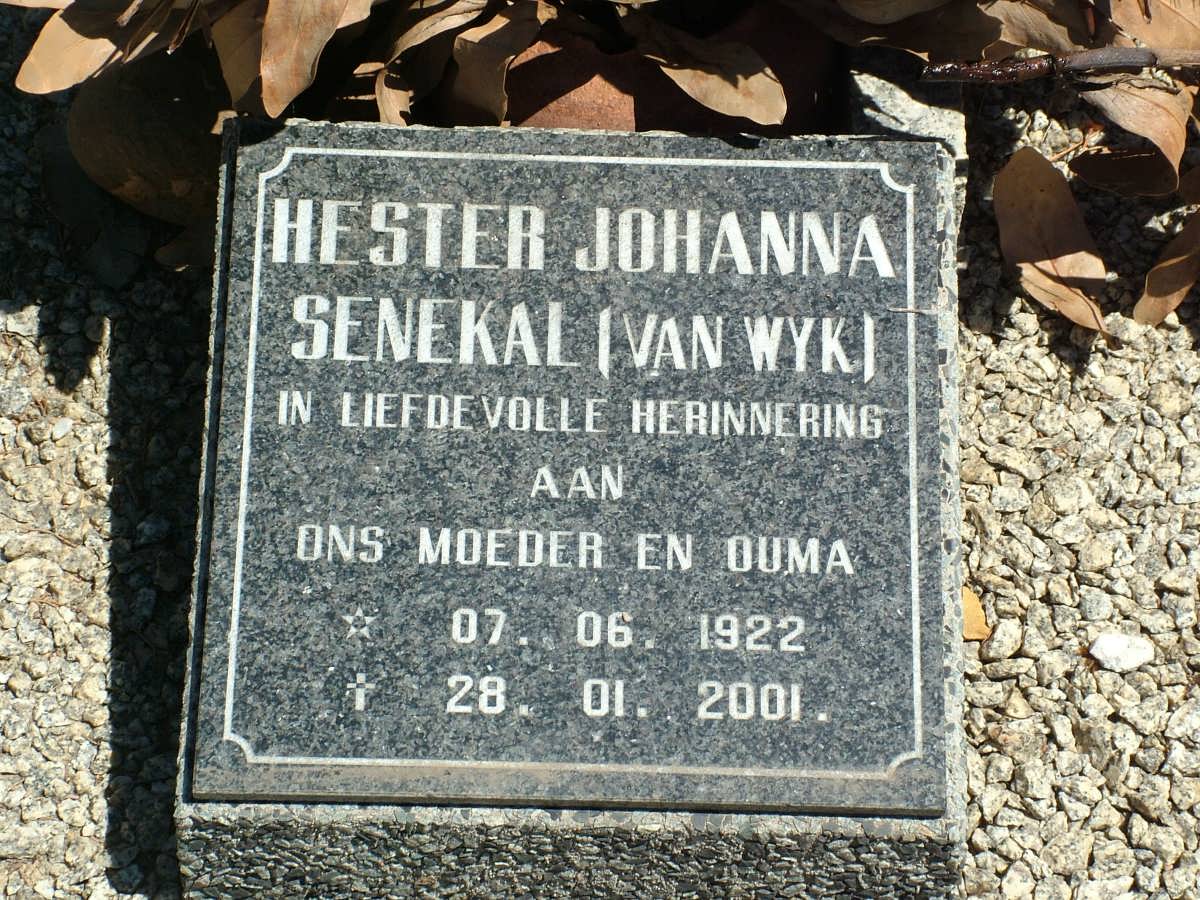 SENEKAL Hester Johanna nee VAN WYK 1922-2001