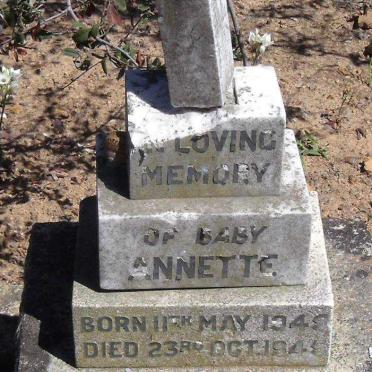 WILLEY Annette 1945-1945