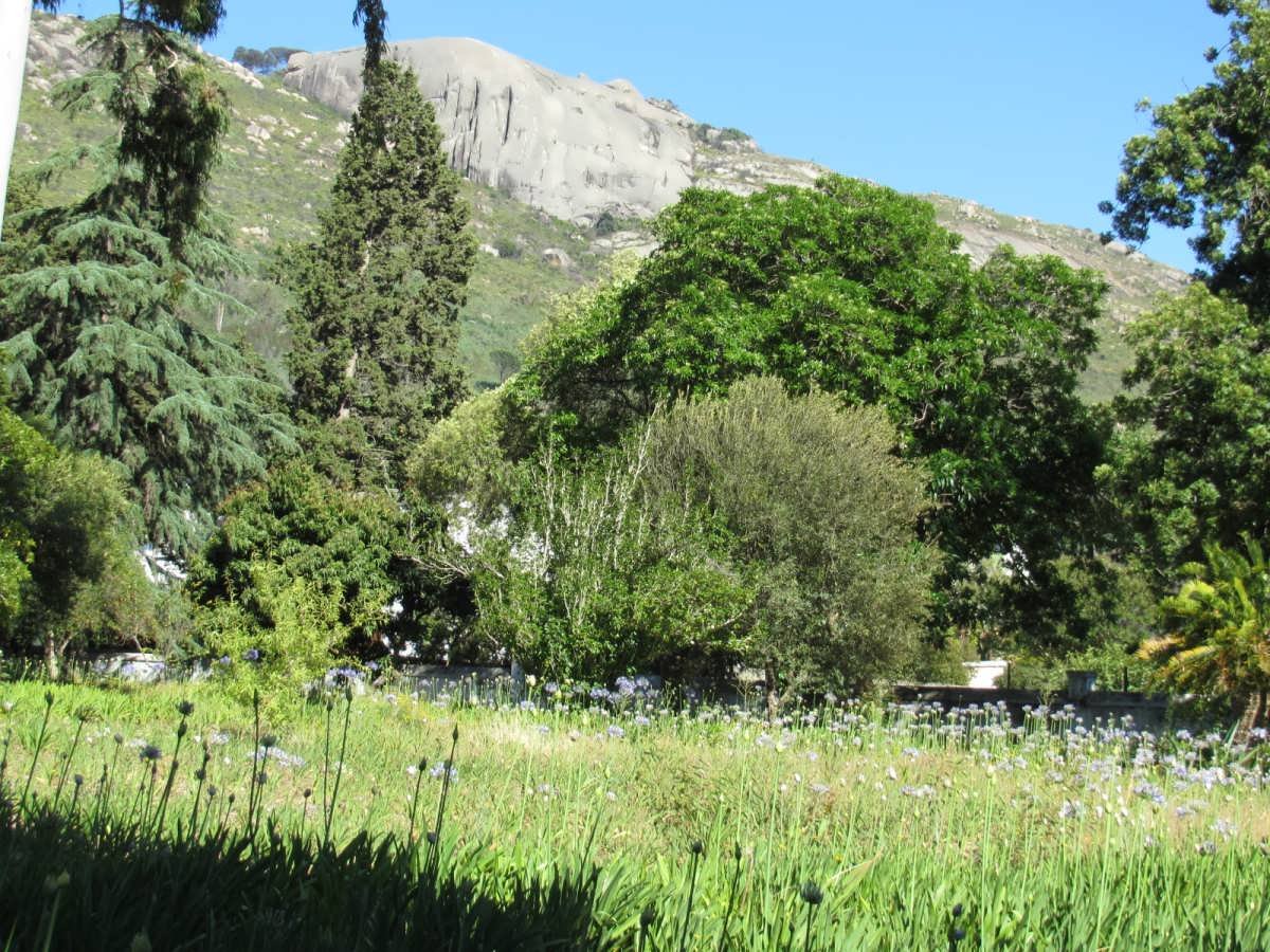 3. Overview of Cemetery