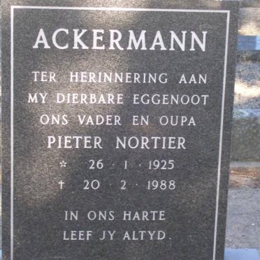 ACKERMANN Pieter Nortier 1925-1988