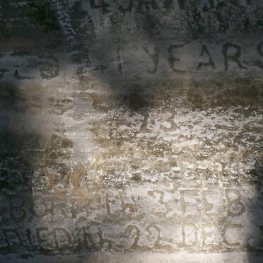 BAILEY Wilhelmina Elizabeth nee CORNELISSEN -1919 :: ? 1907-192?