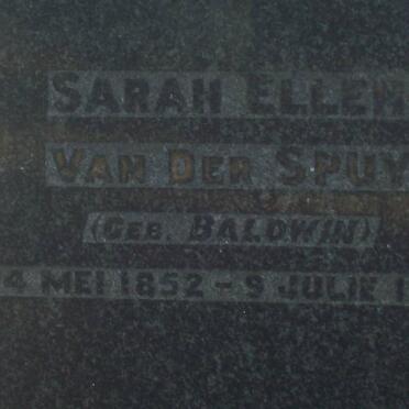 KING :: VAN DER SPUY