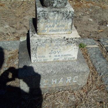 R - Vanne :: Surnames - R