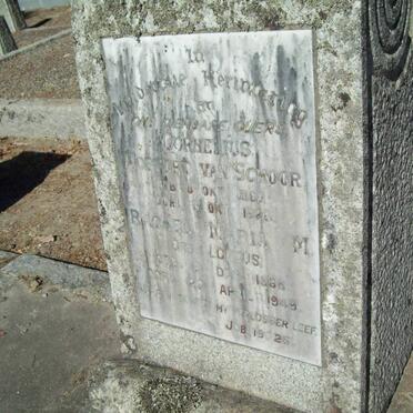 SCHOOR Cornelius Mostert, van 1862-1926 &amp; Rachel Maria M . LOFTUS 1868-1949