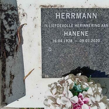 HERRMANN Hanene 1978-2020