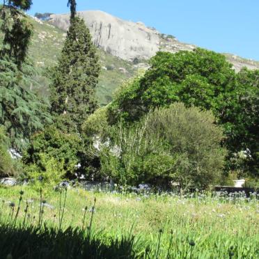 18. Overview of Cemetery