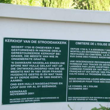 17. Plaque