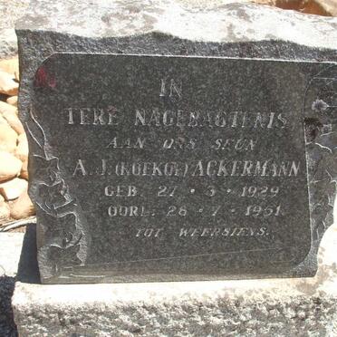 ACKERMANN A.J. 1929-1951