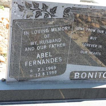 BONITO Abel Fernandes 1965-1998