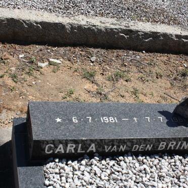 BRINK Carla, van den 1981-1981