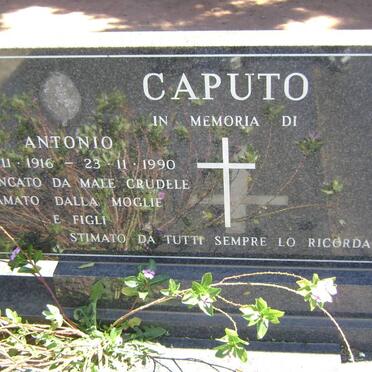 CAPUTO Antonio 1916-1990