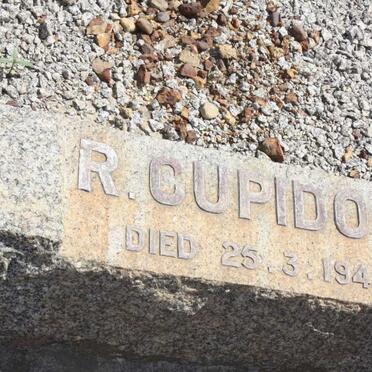 CUPIDO R. -1943
