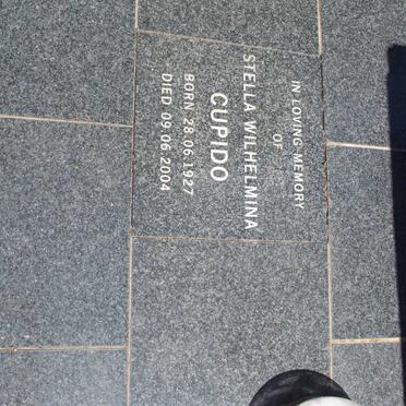 C - Surnames :: Vanne - C