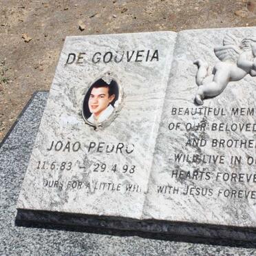 GOUVEIA Joao Pedro, de 1983-1998