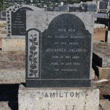 HAMILTON Johannes Jacobus 1886-1954