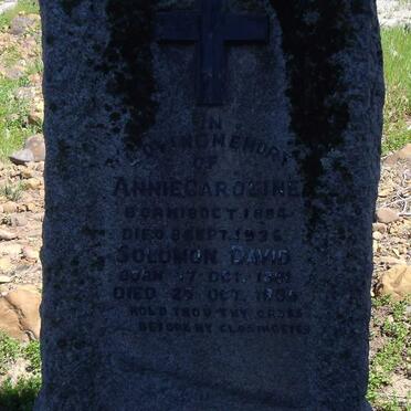 HENDRICKS Solomon David 1881-19?5 &amp; Annie Caroline 1884-1936