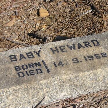 HEWARD Baby 1958-1958