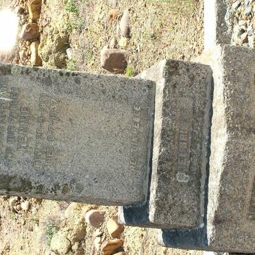 HENDRICKS Hennie 1871-1937