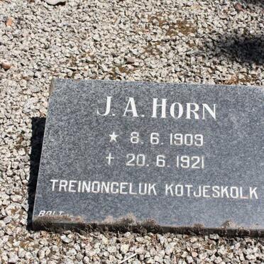 HORN J.A. 1909-1921