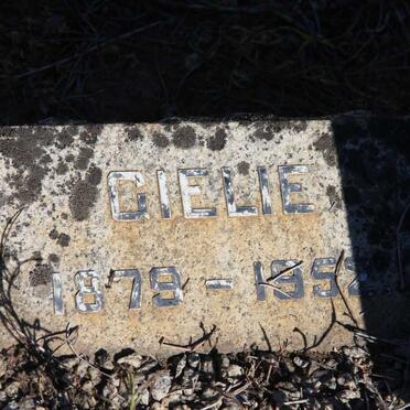 JOUBERT Gielie 1879-1952 &amp; Martha 1887-1966