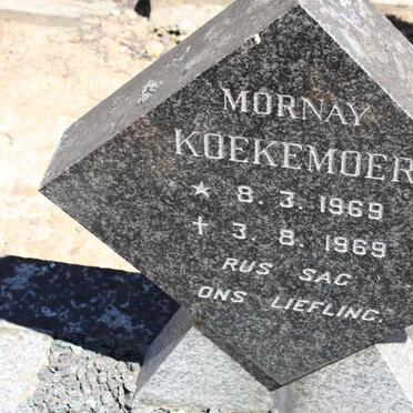 KOEKEMOER Mornay 1969-1969