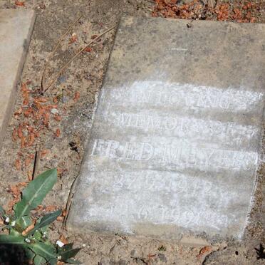 MEYER Fred 1912-1998