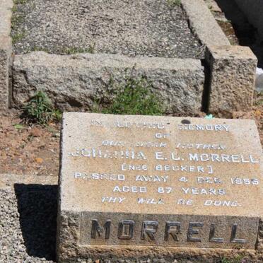 MORRELL Johanna E.C. nee BECKER -1955