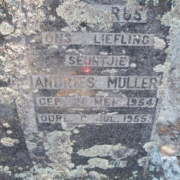 MULLER Andries 1954-1955