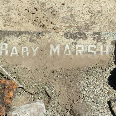 MARSH Baby