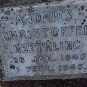 NEETHLING Andries Christoffel 1945-1945
