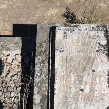 NEL Dirk Johannes 1867-1947