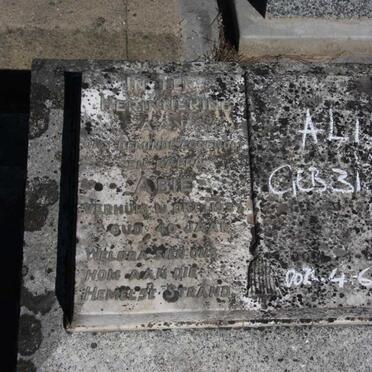 PEROLD Abie -1937 &amp; Alida 1904-1993